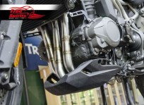 088307_free_spirits_collecteurs_d_-catalys_s_pour_triumph_tiger_1200_explorer_3